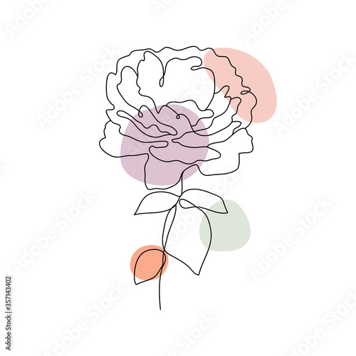 Rose floral line arts frame cover collection. Minimalistic modern line art Flower with abstract shape background for print, beauty and fashion. vector illustration.