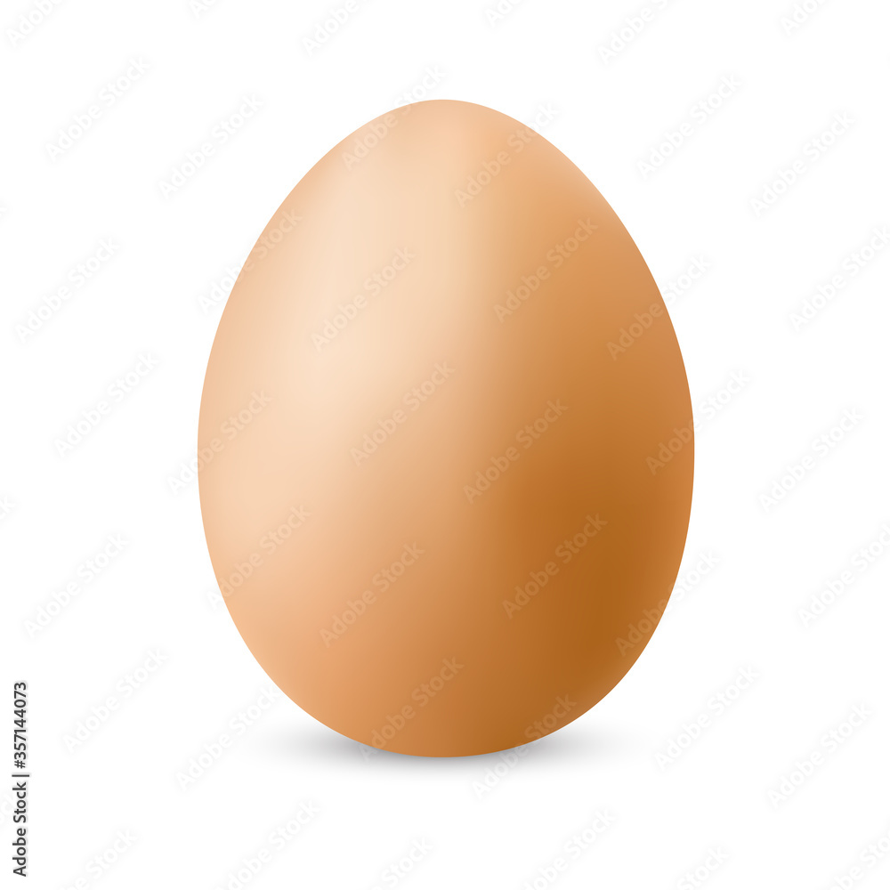 realistic egg illustration vector isolated on white background realistic egg illustration vector isolated on white background