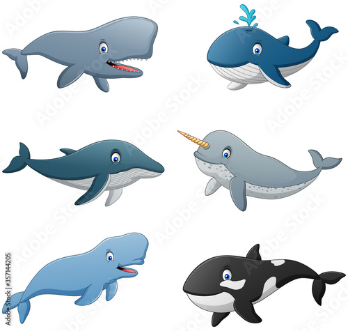 Set of cartoon whale. Vector illustration