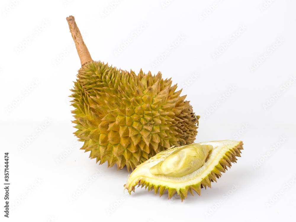 Obraz premium Durian on white background. Durian is a fruit that has been referred to as the King of fruits of South East Asia.