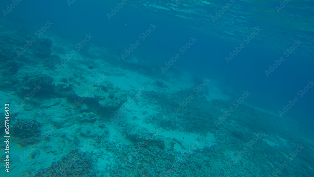 Panoramic scene under water and blue background
