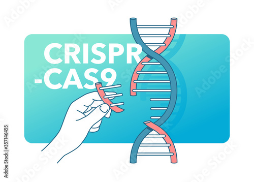 CRISPR Cas9 - gene editing system - DNA spiral with cutting fragment - vector isolated cartoon concept 