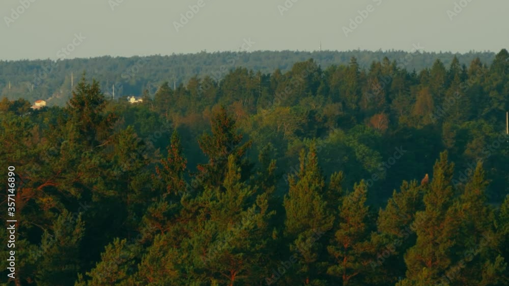 Aerial parallax of forest in fjords. Norway Aerial parallax of forest in fjords. Norway