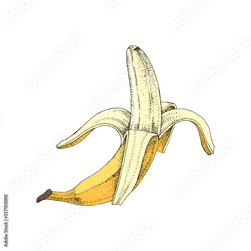 Half peeled hand drawn banana