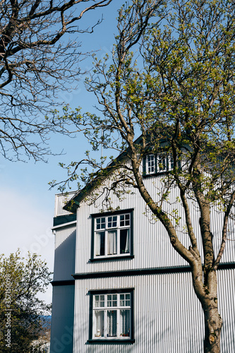 The corner of the facade of a gray metal house with wooden windows, near the spring trees in Reykjavik, the capital of Iceland.