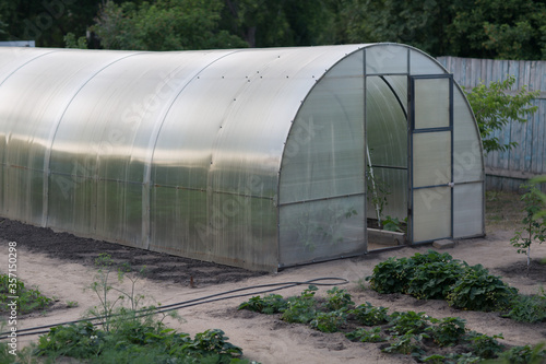 Garden greenhouse and planting seedlings in the soil. Garden vegetable nature. © primipil
