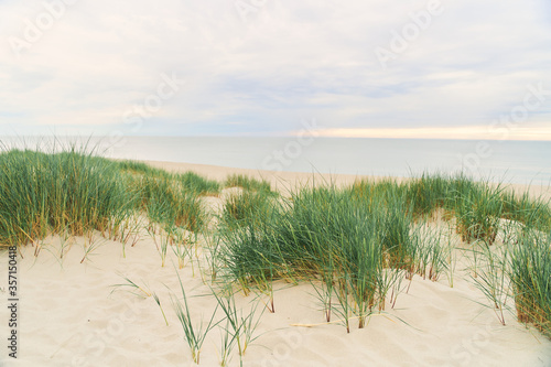 Baltic Sea. Beach in the village of Amber. Beach in Russia with a blue flag. Kaliningrad region.