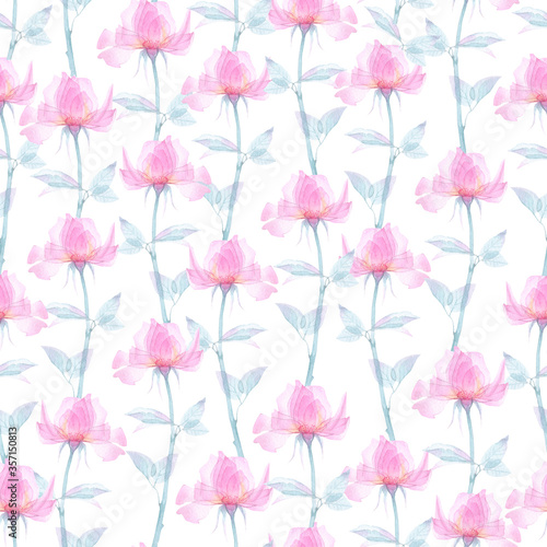 Seamless pattern transparent rose flowers and Apple blossoms on a white background, pink roses, x-ray flowers, pink Sakura flowers, lilac and blue stems and leaves, floral pattern printing Wallpaper 