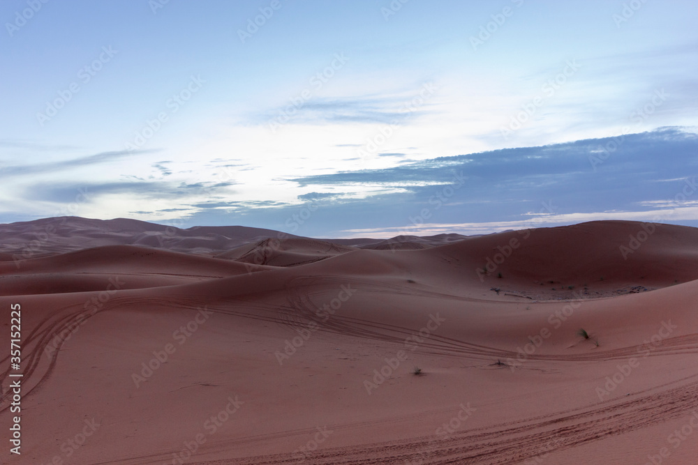 Fototapeta premium landscape at sunset in sahara desert