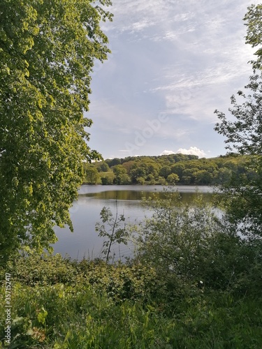 lake in the forest