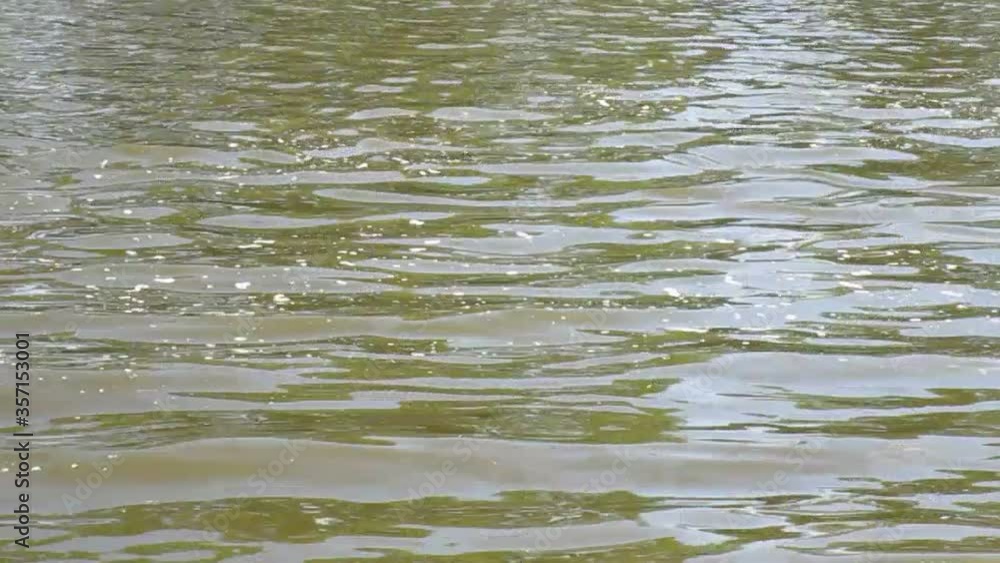 water ripples in the water water ripples in the water