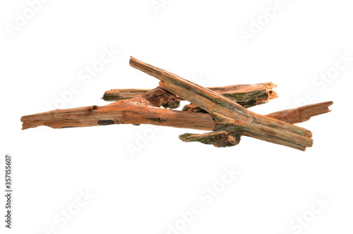 dry oak branch isolated on white background