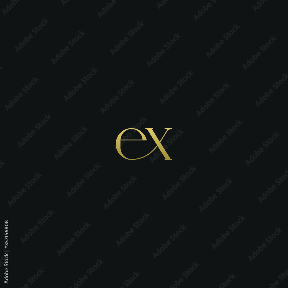 Creative modern elegant trendy unique artistic EX XE X E initial based letter icon logo. Creative modern elegant trendy unique artistic EX XE X E initial based letter icon logo.