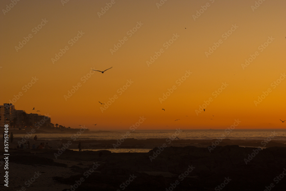Sunset on the beach in South Africa Capetown with seagulls.