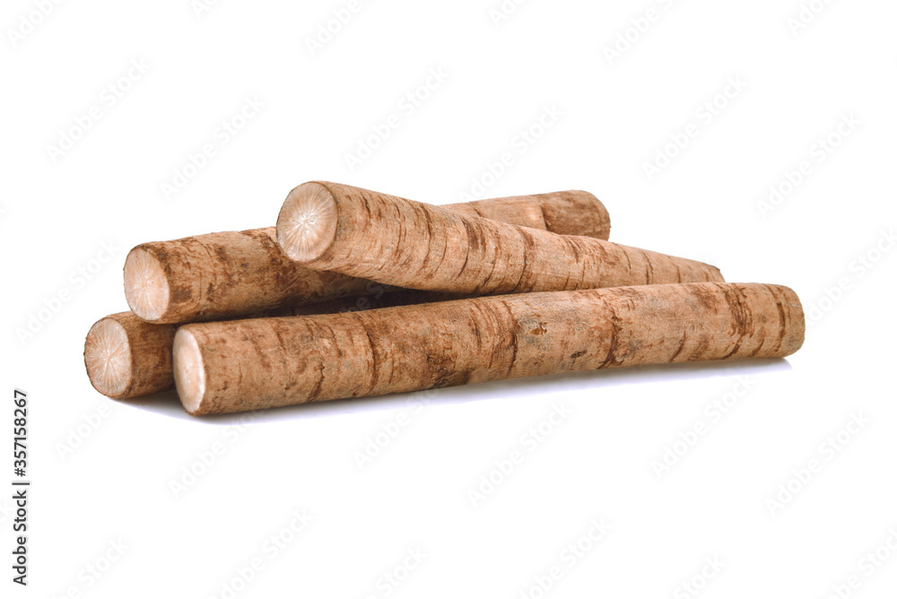 burdock roots or kobo isolated on white background burdock roots or kobo isolated on white background