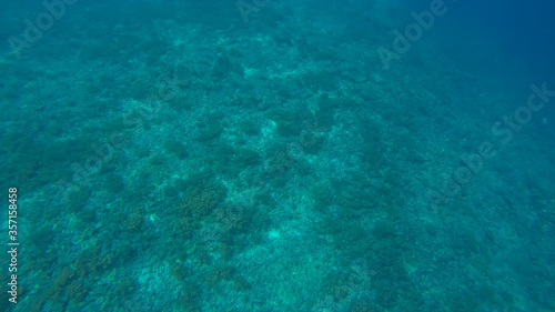 Panoramic scene under water and blue background © Adrian Martinez ph