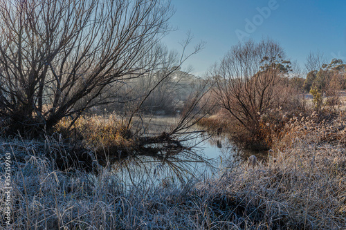 Molonglo River on a frosty, foggy morning at Carwoola, NSW, Australia