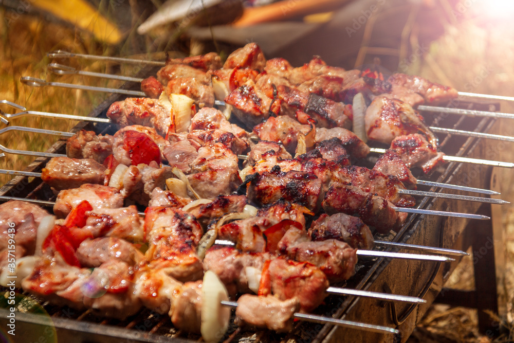 Beautiful juicy kebabs are prepared on the grill on the nature. Rest at nature.