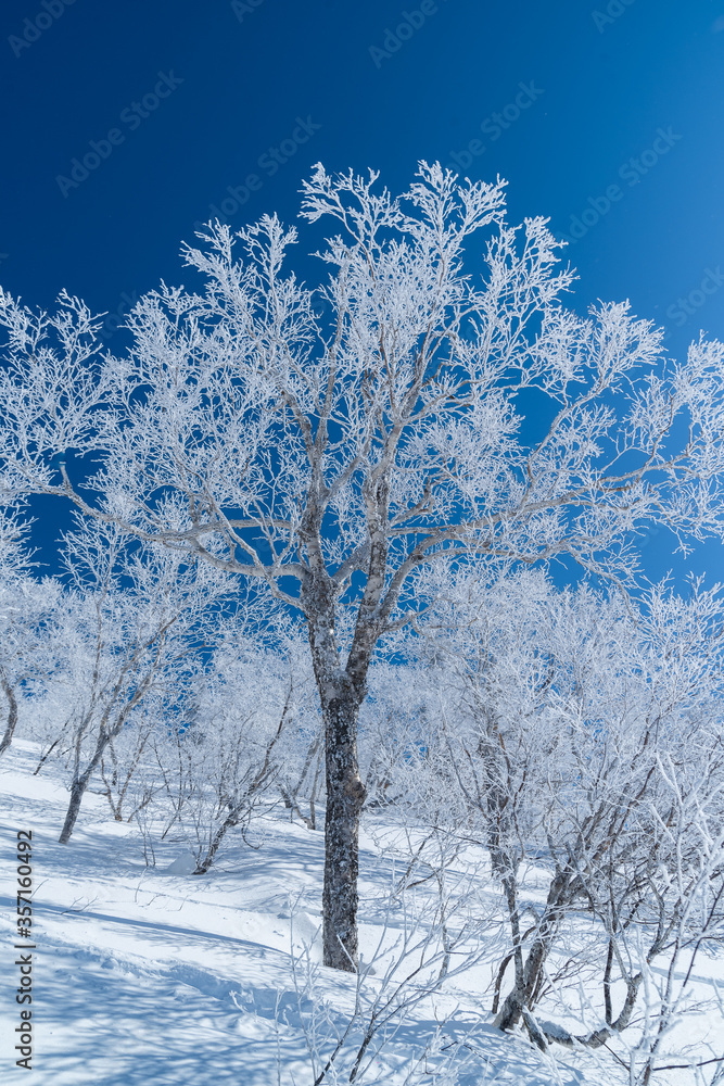 Sakhalin winter