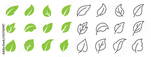 Vászonkép Leaves line vector icon set