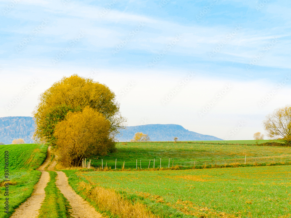 A rural field path leads straight ahead along autumn agricultural fields and disappears in the distance in a blurred hilly landscape. 