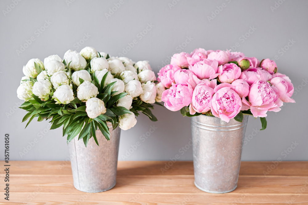Different varieties of peonies in a metal vases. Beautiful peony flower for catalog or online store. Floral shop concept . Beautiful fresh cut bouquet. Flowers delivery