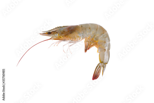 Fresh raw shrimp isolated on white background.