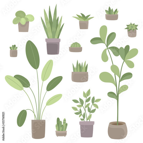 Flowers and plants in pots isolated on white