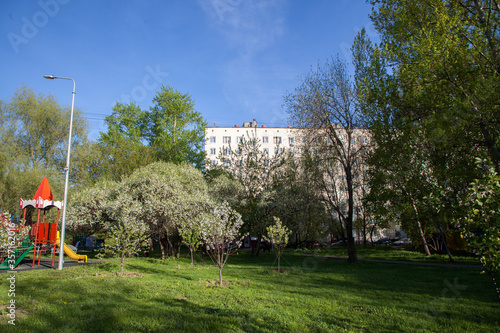Skyscrapers residential multi-story buildings through tree leaves