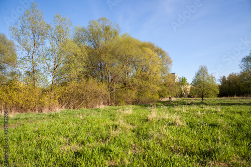 Dry grass, climbing a hill and apartment buildings, blue sky without clouds