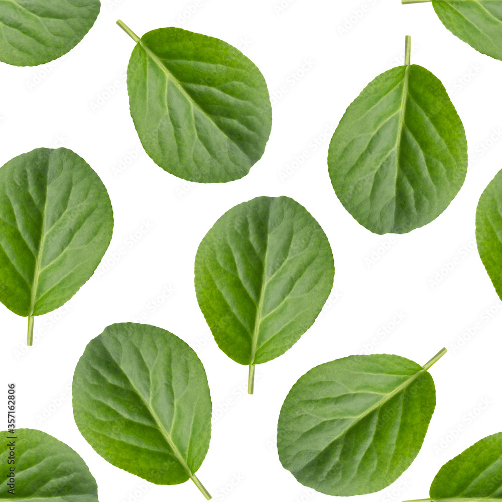 Seamless pattern with green leaves isolated on white background Seamless pattern with green leaves isolated on white background