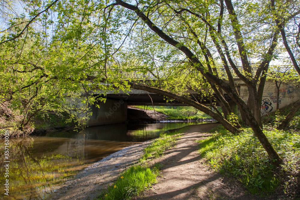 Road bridge over the river in thickets of trees Road bridge over the river in thickets of trees