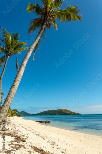 Tropical beach with palm trees and blue sky
