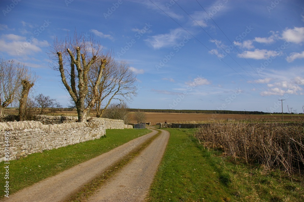 Fototapeta premium An isolated farm road in Caithness, Scotland.