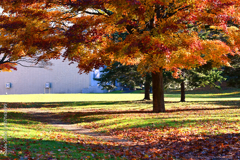 Autumn and foliage nature background. Beautiful landscape in the garden, Hiking Walk path in colorful vivid foliage of trees, Peaceful, calm and relaxing atmosphere. Eco tourism travel concept. 