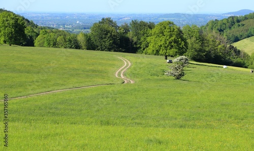 Tableau sur toile Green field.