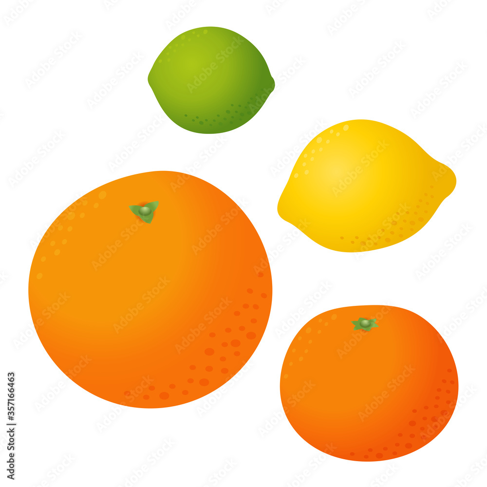 Fresh citrus fruits vector set. Orange tangerine lemon lime isolated Fresh citrus fruits vector set. Orange tangerine lemon lime isolated