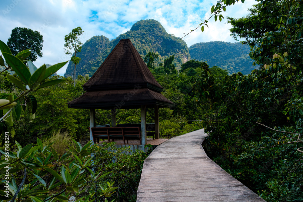 National Park in Krabi Province, Thailand with mangrove forests National Park in Krabi Province, Thailand with mangrove forests