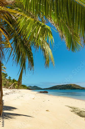 Palm trees on a deserted beach