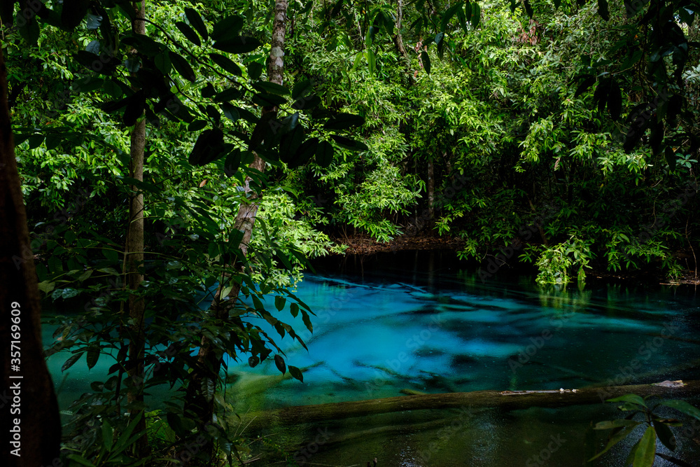 Blue or emerald pool in National park Sa Morakot, Krabi, Thailand.