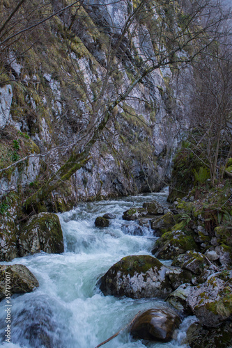 Rio y piedras entre las verdes montañas
