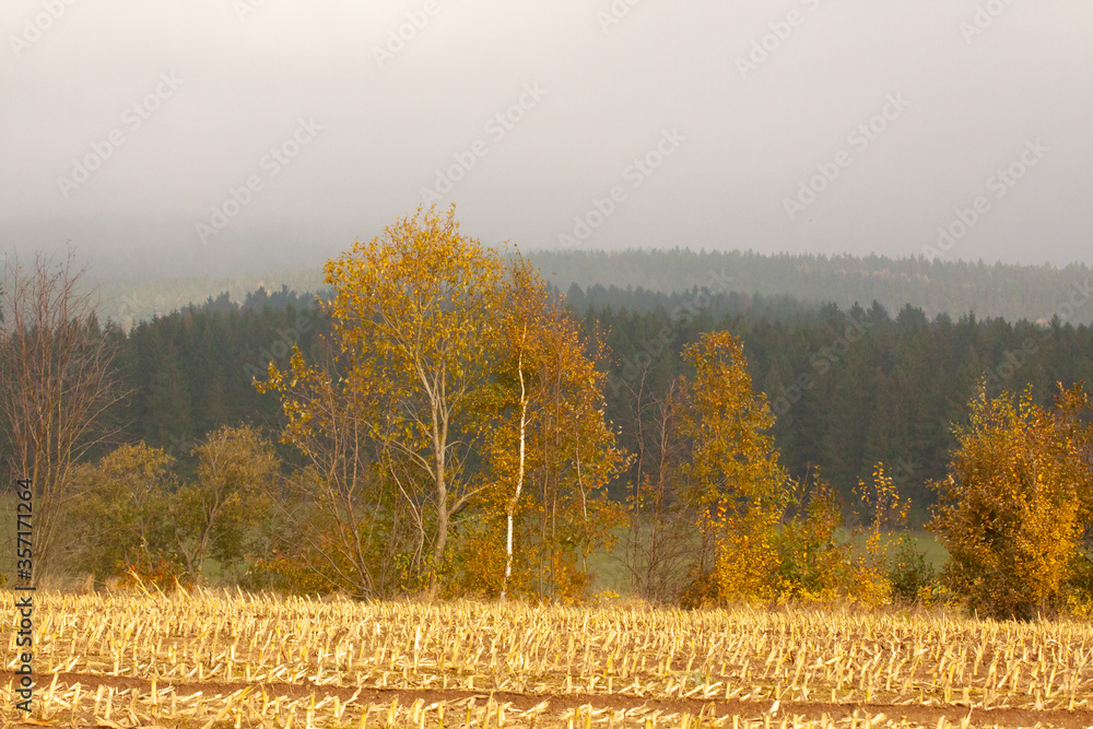 Fototapeta premium urlaub im herbst im naturpark fichtelgebirge