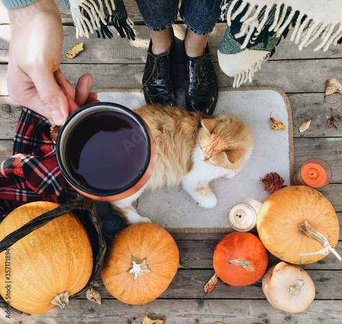 Pumpkin, tea and autumn leaves. Autumn still life with pumpkin, cat and cup of tea on the wooden background. Thanksgiving, autumn season. Cat sitting near pumpkin. Halloween mood.
