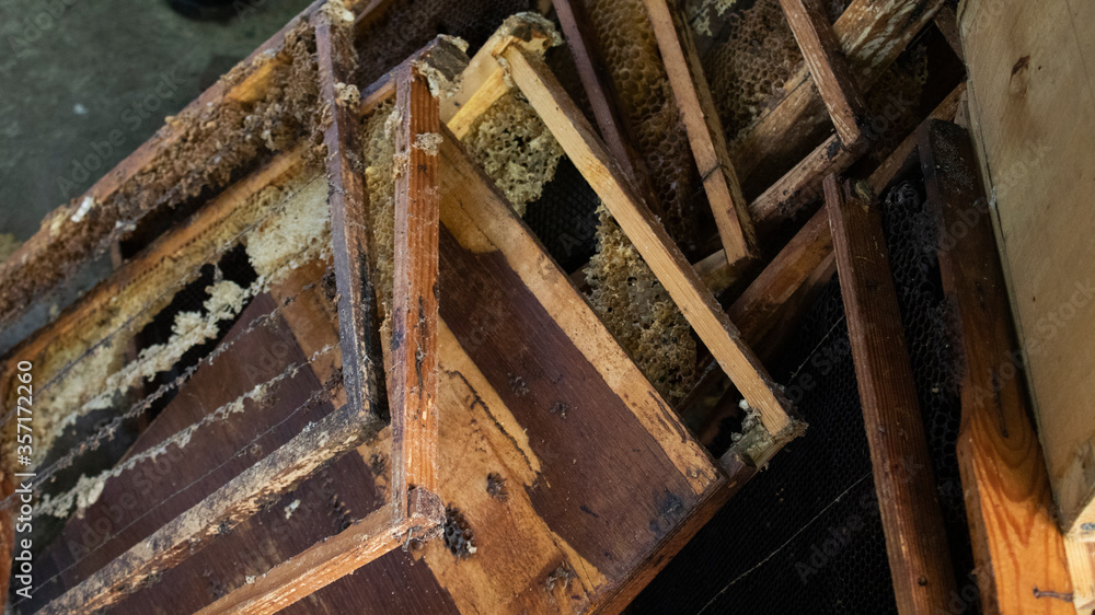 used honeycombs. houses of bees - hive. beekeeping. beekeeper. apiculture concept. High quality photo used honeycombs. houses of bees - hive. beekeeping. beekeeper. apiculture concept. High quality photo