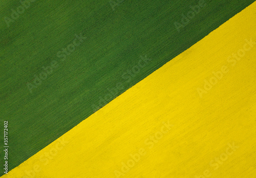 beautiful contrast rape plant field in europe russia yellow and green. rape in spring and summer Aerial view rural landscape with blooming rape shot from air