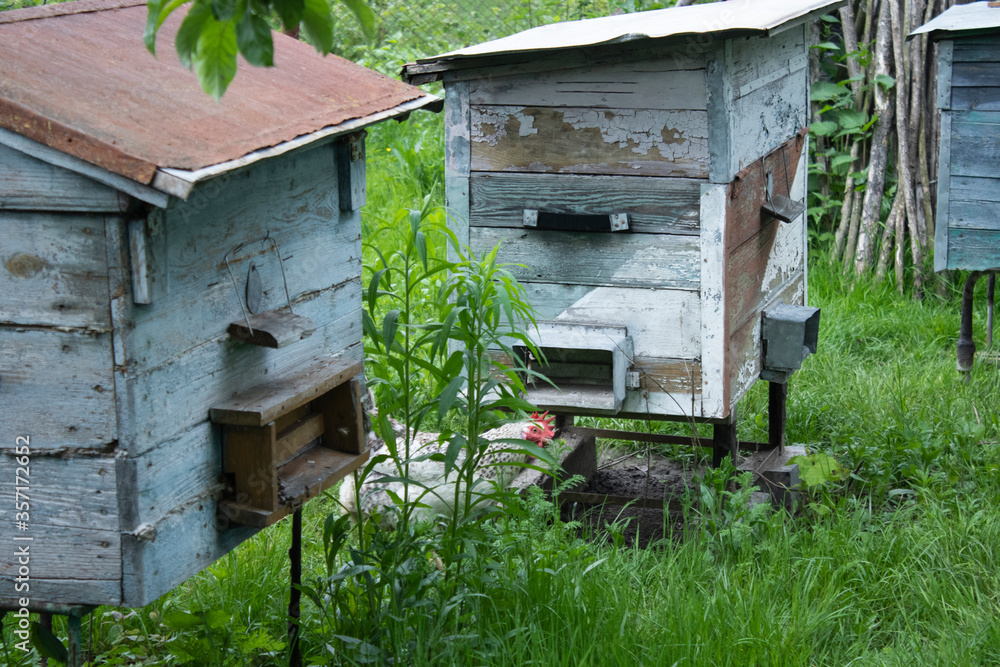 houses of bees - hive. beekeeping. apiculture concept. High quality photo houses of bees - hive. beekeeping. apiculture concept. High quality photo