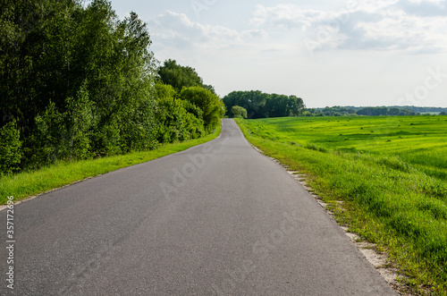 Empty asphalt road next to a field of wheat. The road that goes into the distance