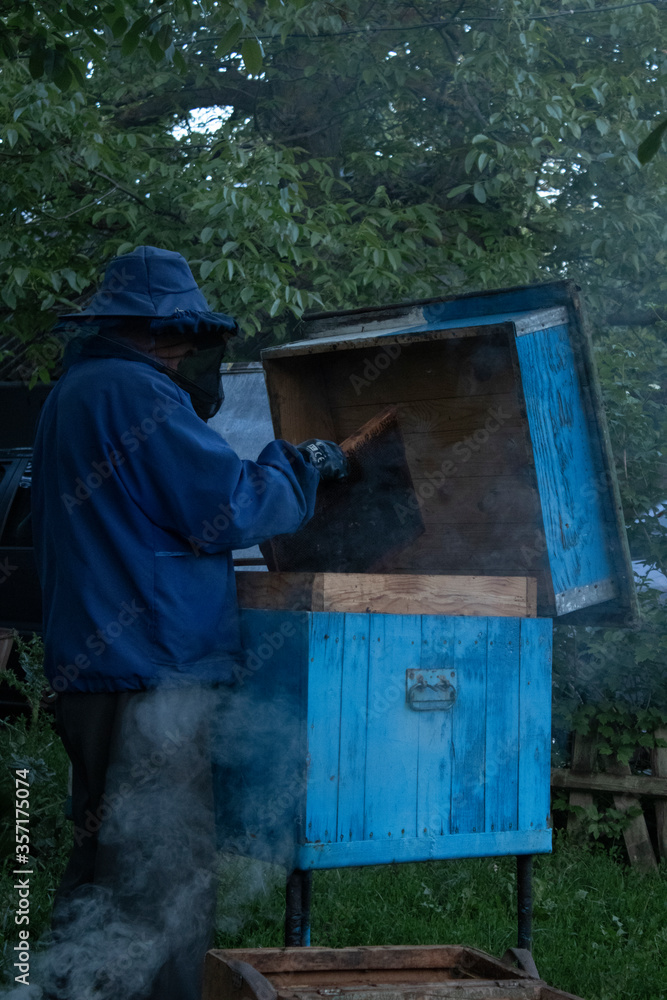  beekeeper works in the garden with the bees. honeycombs. houses of bees - hive. beekeeping. apiculture concept. High quality photo