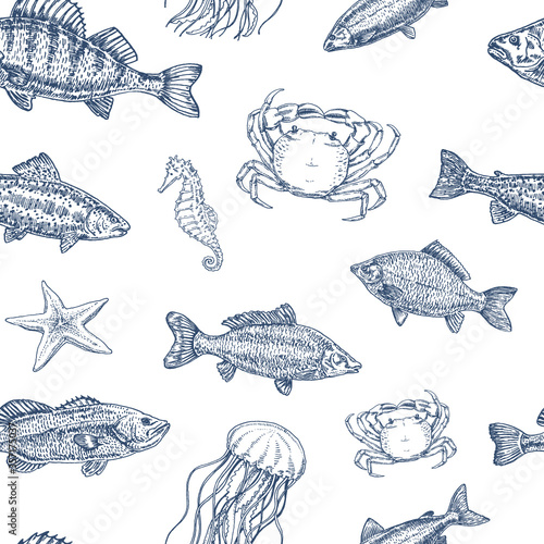 Hands painted seamless patter with marine life. Vector illustration, sketch, graphic. Fish, mollusks, sea inhabitants. Hand drawn picture in retro style