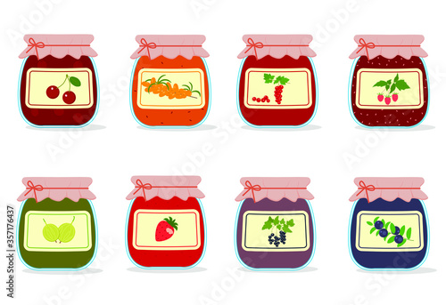 Preparations for the winter in glass jars. Set of glass jars with jam. Concept of harvesting berries and fruit for the winter. Isolated vector image on a white background.
